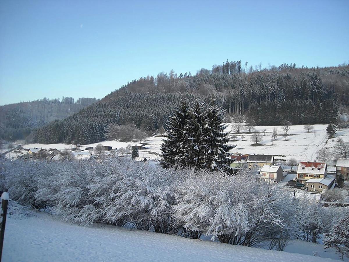 Cosy Holiday Home With Garden In Walscheid エクステリア 写真